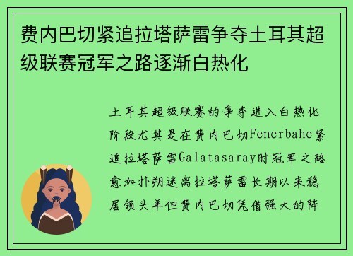 费内巴切紧追拉塔萨雷争夺土耳其超级联赛冠军之路逐渐白热化 费内巴切紧追拉塔萨雷争夺土耳其超级联赛冠军之路逐渐白热化